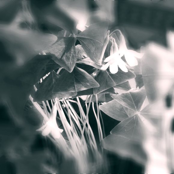 image from http://theresalargusa.typepad.com/.a/6a01348084d007970c0133f2aa758b970b-pi