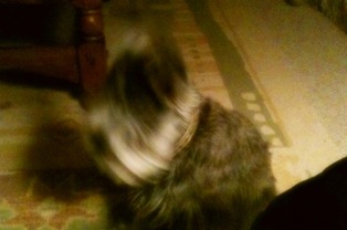 image from http://theresalargusa.typepad.com/.a/6a01348084d007970c0133f4692090970b-pi