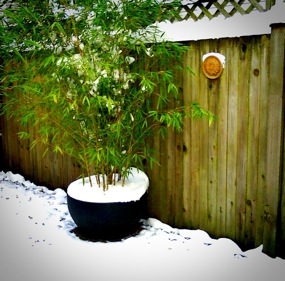 image from http://theresalargusa.typepad.com/.a/6a01348084d007970c0134897a6152970c-pi