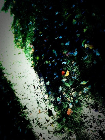 image from http://theresalargusa.typepad.com/.a/6a01348084d007970c0133f5e5af13970b-pi