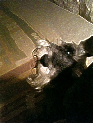 image from http://theresalargusa.typepad.com/.a/6a01348084d007970c0133f5bb57ab970b-pi