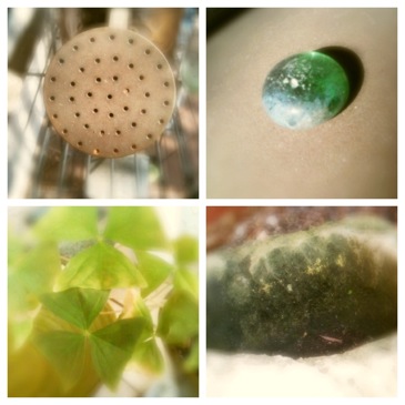 image from http://theresalargusa.typepad.com/.a/6a01348084d007970c0147e2b40601970b-pi