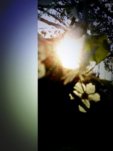 image from http://theresalargusa.typepad.com/.a/6a01348084d007970c014e60271878970c-pi