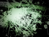 image from http://theresalargusa.typepad.com/.a/6a01348084d007970c0147e358826b970b-pi