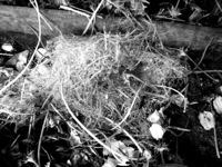 image from http://theresalargusa.typepad.com/.a/6a01348084d007970c0147e3588270970b-pi