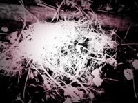 image from http://theresalargusa.typepad.com/.a/6a01348084d007970c014e86d8a205970d-pi