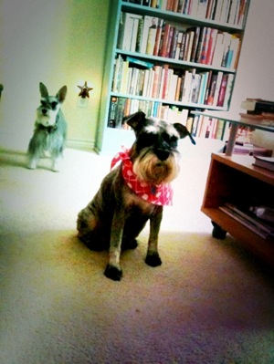 image from http://theresalargusa.typepad.com/.a/6a01348084d007970c014e86b012e6970d-pi