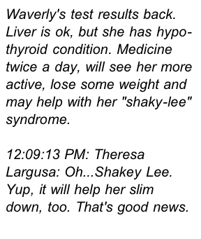 image from http://theresalargusa.typepad.com/.a/6a01348084d007970c0147e316bfc1970b-pi