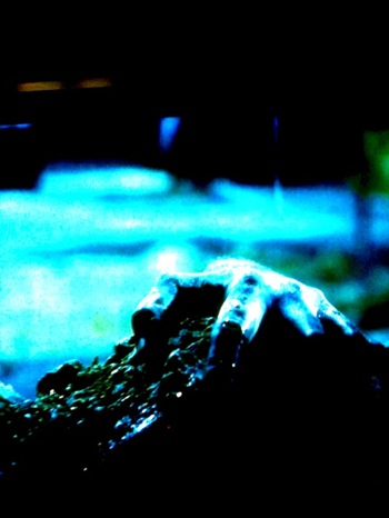 image from http://theresalargusa.typepad.com/.a/6a01348084d007970c01538e3951b3970b-pi