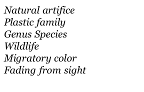 image from http://theresalargusa.typepad.com/.a/6a01348084d007970c0154324f56bd970c-pi