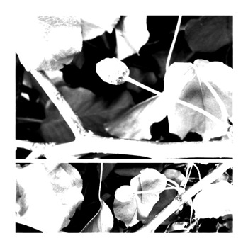 image from http://theresalargusa.typepad.com/.a/6a01348084d007970c01539098135c970b-pi