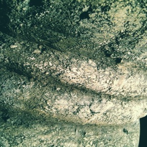 image from http://theresalargusa.typepad.com/.a/6a01348084d007970c0154343596f3970c-pi