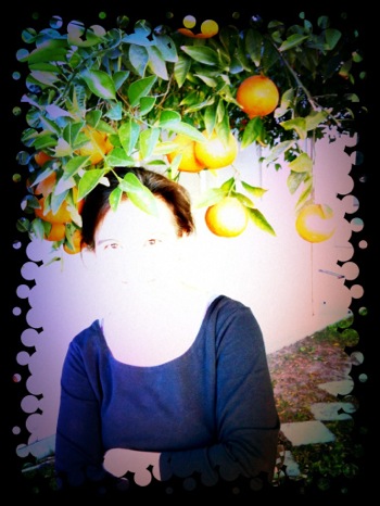 image from http://theresalargusa.typepad.com/.a/6a01348084d007970c01675f9fb905970b-pi