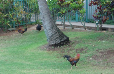 image from http://theresalargusa.typepad.com/.a/6a01348084d007970c016302f80823970d-pi