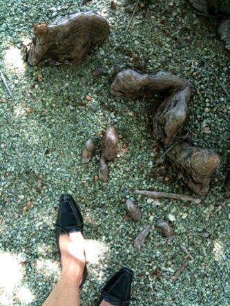 image from http://theresalargusa.typepad.com/.a/6a01348084d007970c0168eaba55e5970c-pi