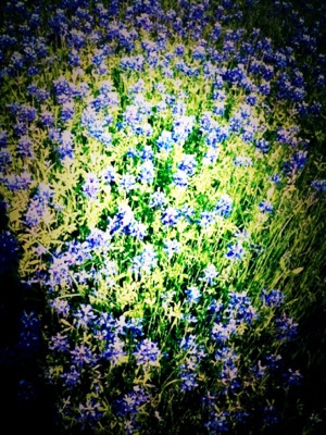 image from http://theresalargusa.typepad.com/.a/6a01348084d007970c016304e1ea84970d-pi