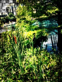 image from http://theresalargusa.typepad.com/.a/6a01348084d007970c016768627a91970b-pi