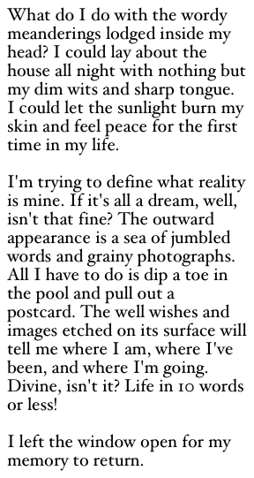 image from http://theresalargusa.typepad.com/.a/6a01348084d007970c017d3c121260970c-pi