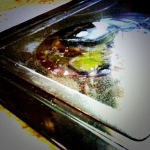 image from http://theresalargusa.typepad.com/.a/6a01348084d007970c017d3cc52b65970c-pi