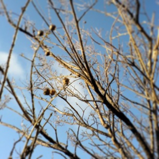 image from http://theresalargusa.typepad.com/.a/6a01348084d007970c017ee8b63b4f970d-pi