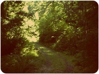 Light at the End of the Road