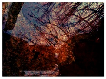 image from http://theresalargusa.typepad.com/.a/6a01348084d007970c01901ba9aaef970b-pi