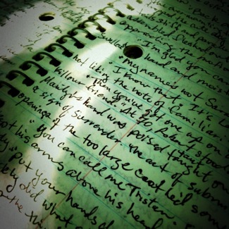 image from http://theresalargusa.typepad.com/.a/6a01348084d007970c019103d33d6b970c-pi