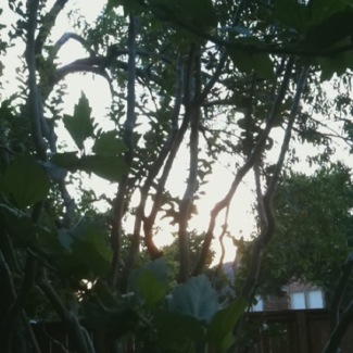 image from http://theresalargusa.typepad.com/.a/6a01348084d007970c01901dc99fe8970b-pi