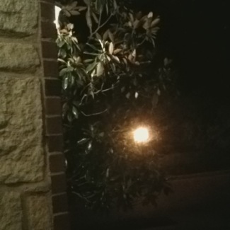 image from http://theresalargusa.typepad.com/.a/6a01348084d007970c0192ab6e2cf8970d-pi