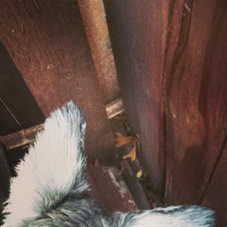 image from http://theresalargusa.typepad.com/.a/6a01348084d007970c01910309bf1e970c-pi