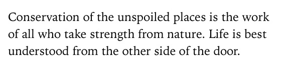 image from http://theresalargusa.typepad.com/.a/6a01348084d007970c019affa96e47970c-pi