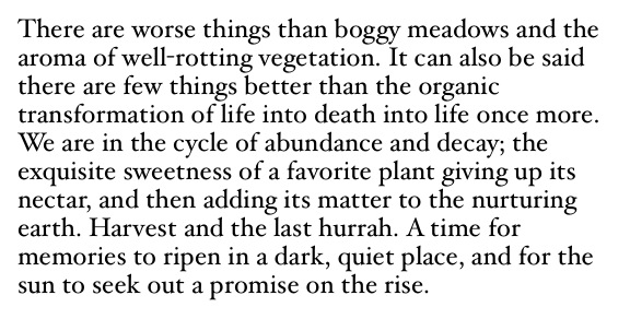 image from http://theresalargusa.typepad.com/.a/6a01348084d007970c019aff912266970b-pi