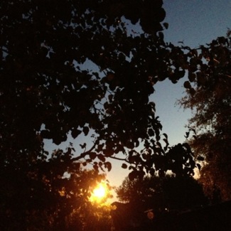 image from http://theresalargusa.typepad.com/.a/6a01348084d007970c019aff4607d5970d-pi