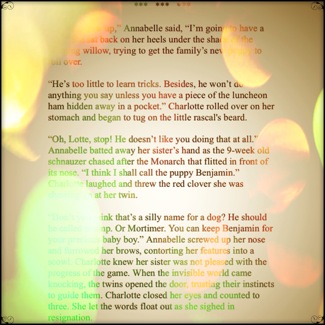 image from http://theresalargusa.typepad.com/.a/6a01348084d007970c01a5100646af970c-pi