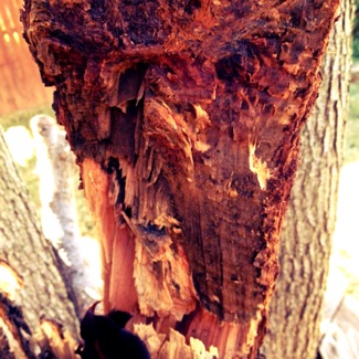 image from http://theresalargusa.typepad.com/.a/6a01348084d007970c019b034fb82a970d-pi