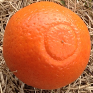 image from http://theresalargusa.typepad.com/.a/6a01348084d007970c01a5115b858c970c-pi