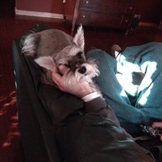 image from http://theresalargusa.typepad.com/.a/6a01348084d007970c01a73d64bdd0970d-pi