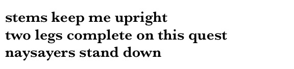 image from http://theresalargusa.typepad.com/.a/6a01348084d007970c01a51170fa24970c-pi