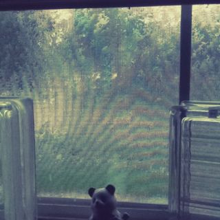 Raindrops on the Window