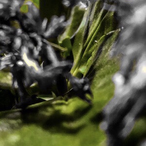 image from https://theresalargusa.typepad.com/.a/6a01348084d007970c022ad39ecc40200d-pi