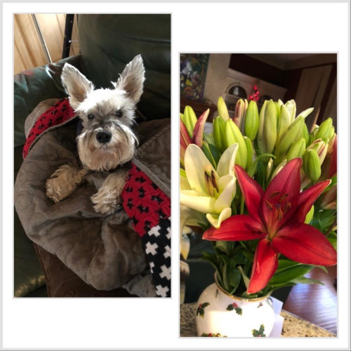 The Sweetness of Life